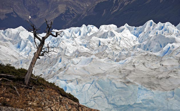 Perito Moreno glacier in Patagonia, Argentina