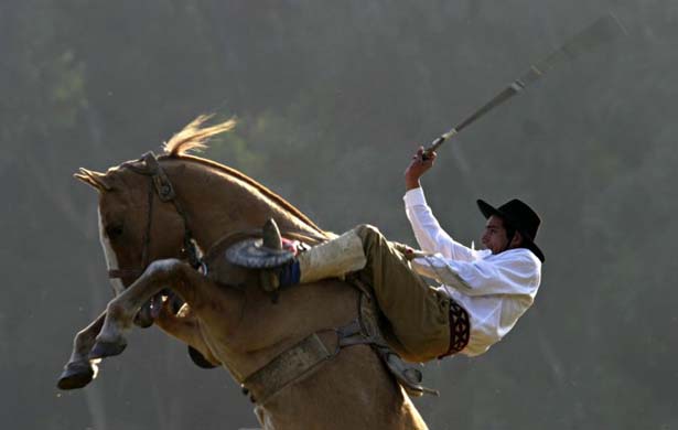 Gaucho and horse
