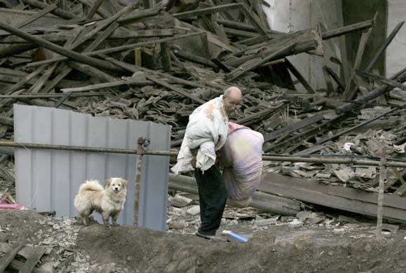 Dog the earthquake zone