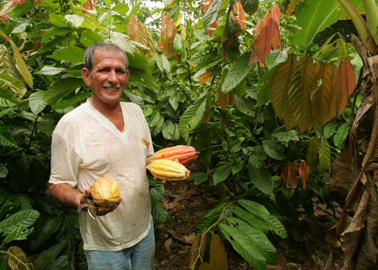 Environmental and social effects of the drugs trade in colombia