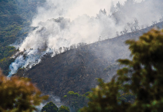 Environmental and social effects of the drugs trade in colombia
