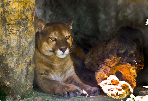 Environmental and social effects of the drugs trade in colombia