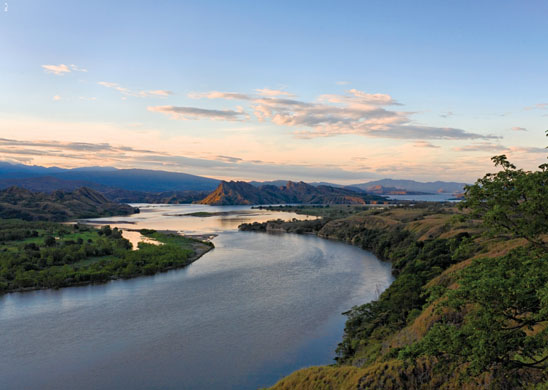 Environmental and social effects of the drugs trade in colombia