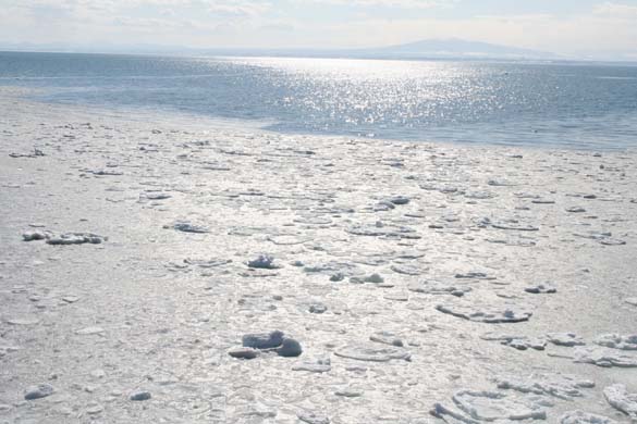 Drift ice
