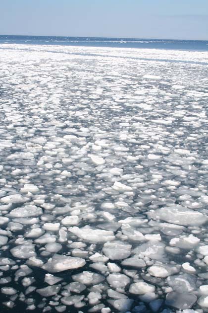 Drift ice
