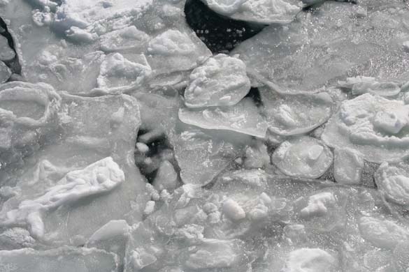 Drift ice