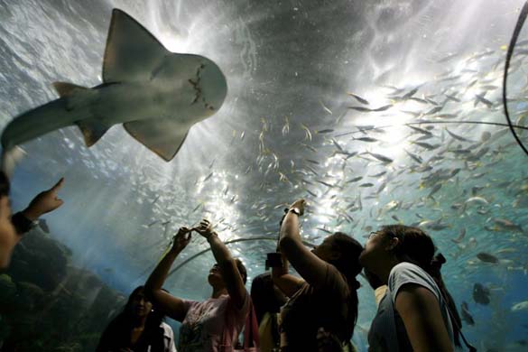 Aquarium in Manila