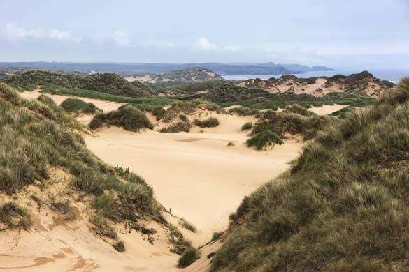 Sand dunes on the Menie estate