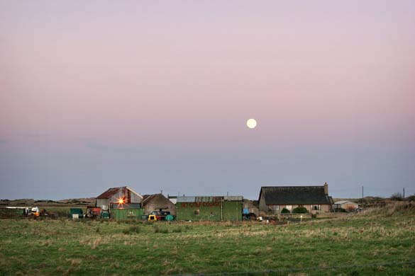 Michael Forbes' estate in Balmedie