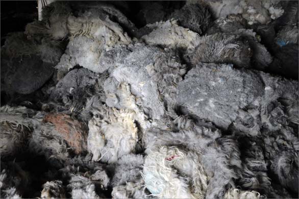 Wool from Herdwick sheep