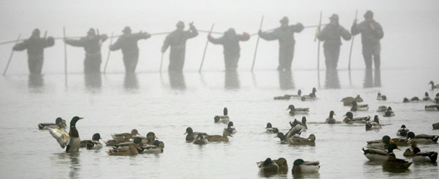 Czech Republic: Fishermen pull a net from lake Svet
