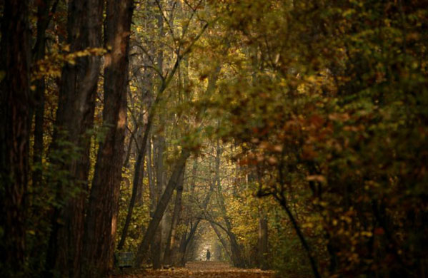 Sofia, Bulgaria: A man walks in a park on a warm autumn day