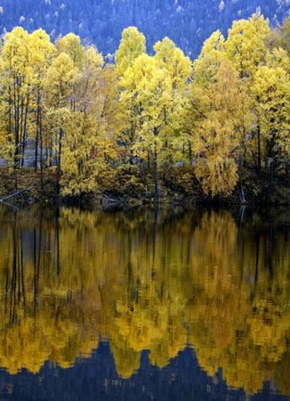 Drammen, Norway: Autumn foliage reflects in the river Drammenselva