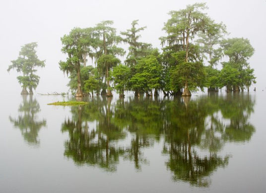 Wildlife photographer of the year