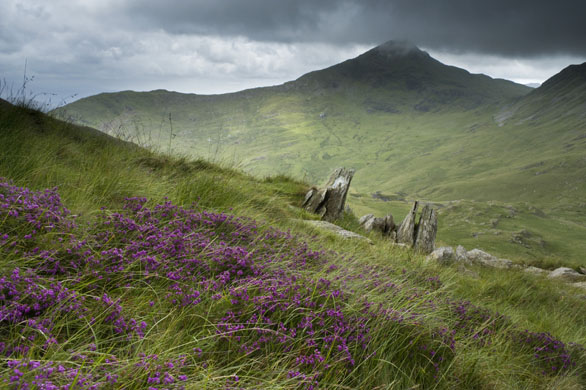 Hafod Y Llan farm Snowdonia, Wales
