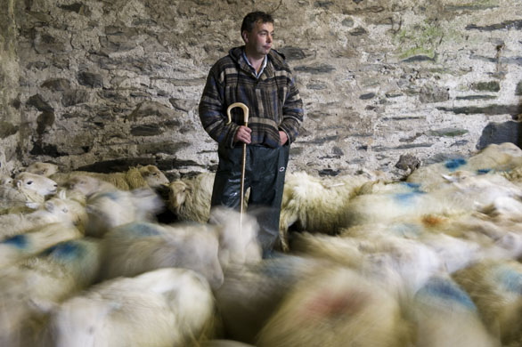 Hafod y Llan farm Snowdonia, Wales
