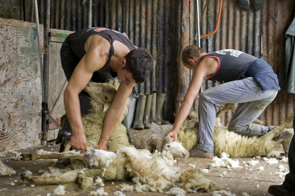 Hafod Y Llan farm Snowdonia, Wales