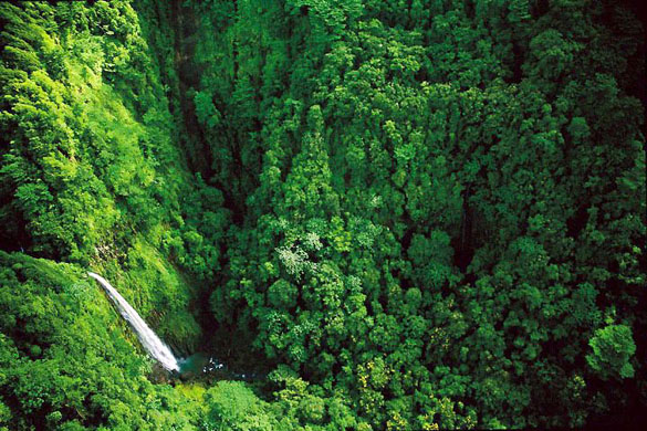 Coco Island, Costa Rica: An aerial view of the island