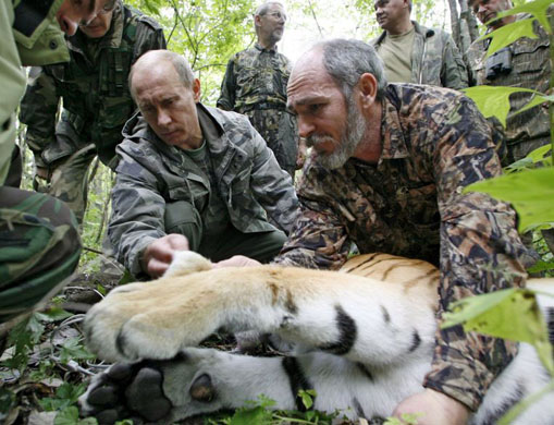 Russia: Vladimir Putin and senior researcher of the Ecology and Evolution Problems Institute of the Russian Academy of Sciences Viktor Lukaretsky with a five year-old tigress
