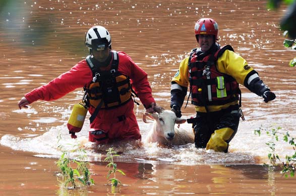 RSPCA rescue sheep from floods