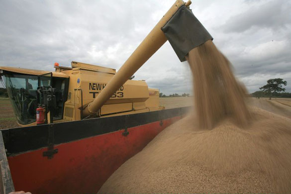 poor harvest UK floods