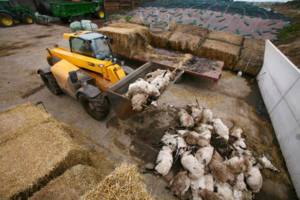 poor harvest UK floods