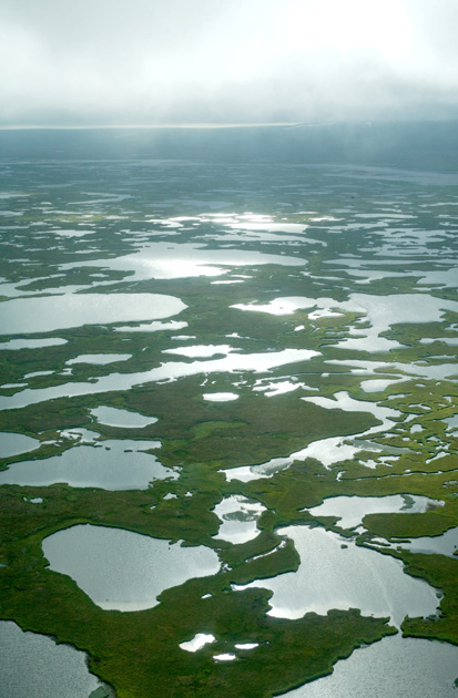Climate Change in Alaska