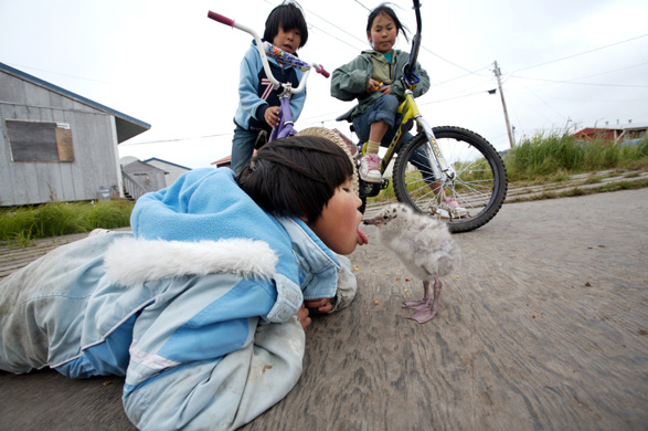 Climate Change in Alaska