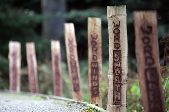 Slow art - Artist: David Morley