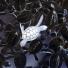 Week in Wildlife: An albino baby turtle swims with green sea babies turtle