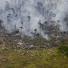 Amazon deforestation: Man made fires to clear the land for cattle  or crops