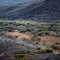 Turkana pastoralists: Nomad tribe facing climate change in Kenya