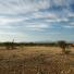 New Kenya: Turkana pastoralists facing climate change in North-East of Kenya