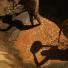 New Kenya: Turkana pastoralists facing climate change in North-East of Kenya