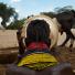 New Kenya: Turkana pastoralists facing climate change in North-East of Kenya