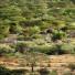 New Kenya: Turkana pastoralists facing climate change in North-East of Kenya