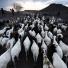 New Kenya: Turkana pastoralists facing climate change in North-East of Kenya