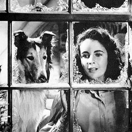Elizabeth Taylor and Pal in Lassie Come Home
