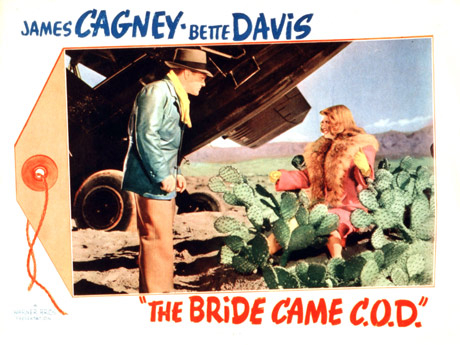 The Brides Came Cod poster