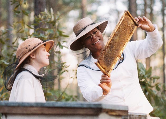 The Secret Life of Bees