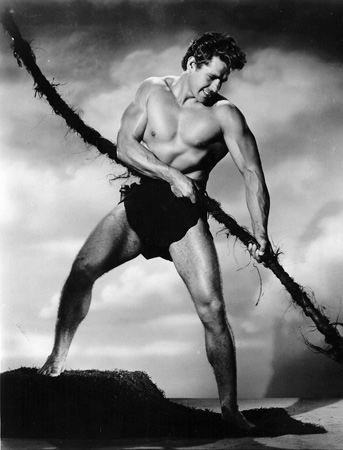 Gordon Scott  as Tarzan