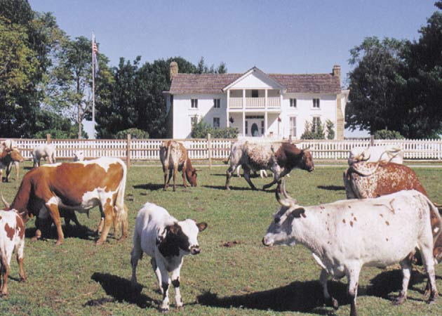 The Will Rogers Dog Iron Ranch & Birthplace Home