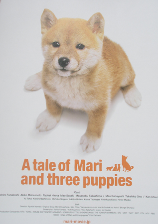 Cannes posters - A tale of Mari