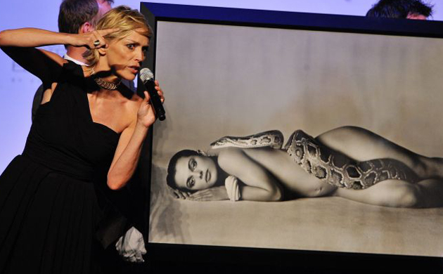 Sharon Stone at the amfAR gala