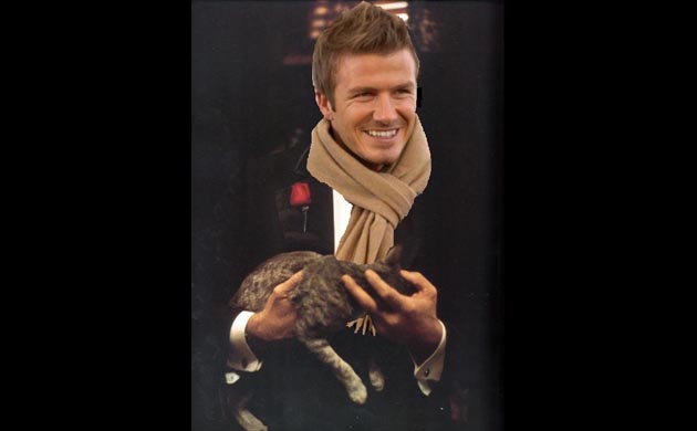 David Beckham