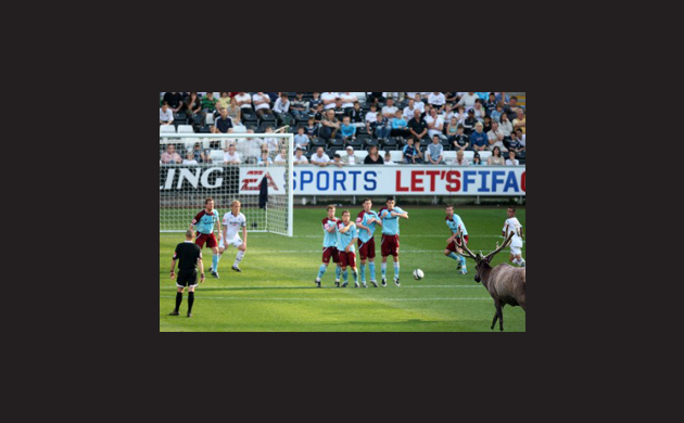 Nicolas Anelka gallery