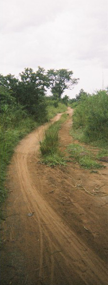 James Oluka's disposable camera photographs