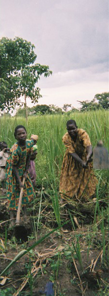 James Oluka's disposable camera photographs