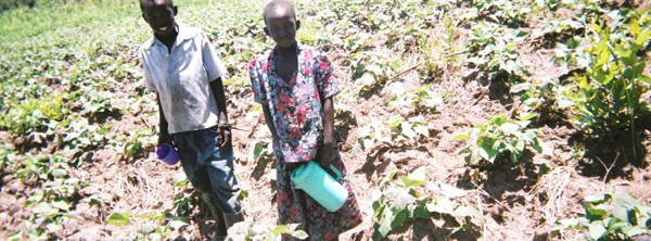 Joseph Ocuga's disposable camera pictures