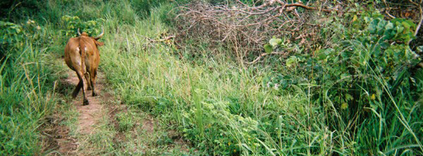 Valentine Okoit's disposable camera photographs